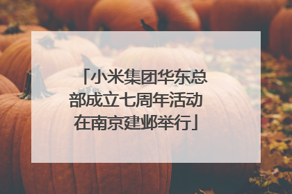 小米集团华东总部成立七周年活动在南京建邺举行